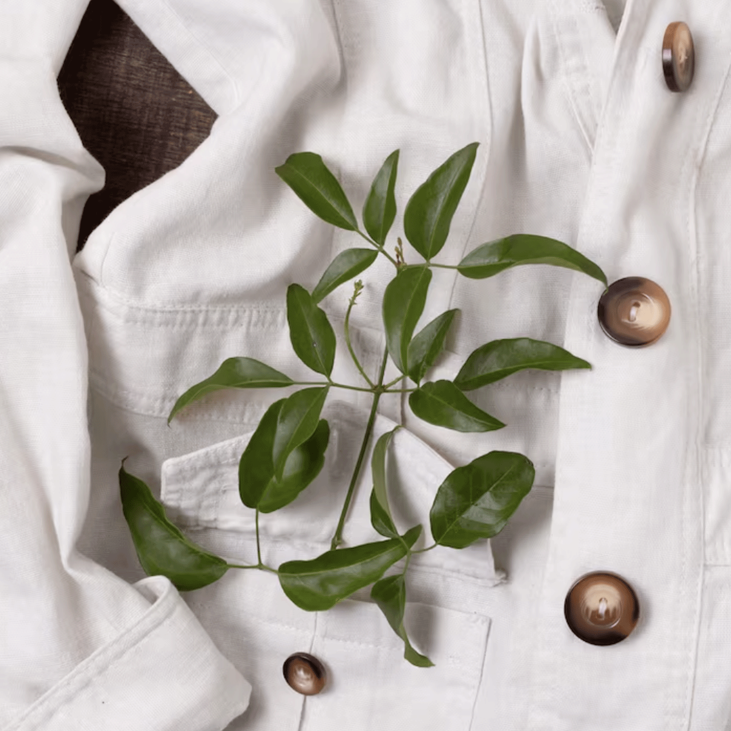 You are currently viewing La slow fashion : une mode qui prend son temps